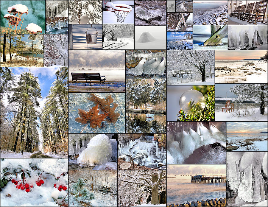 Winter Collage  Photograph by Janice Drew