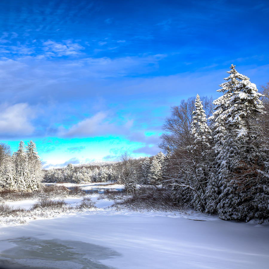 Winter Comes to the Moose River Photograph by David Patterson
