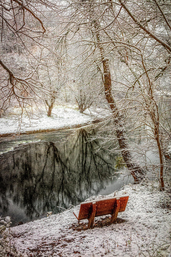 Winter Contemplation In HDR Detail Photograph by Debra and Dave Vanderlaan