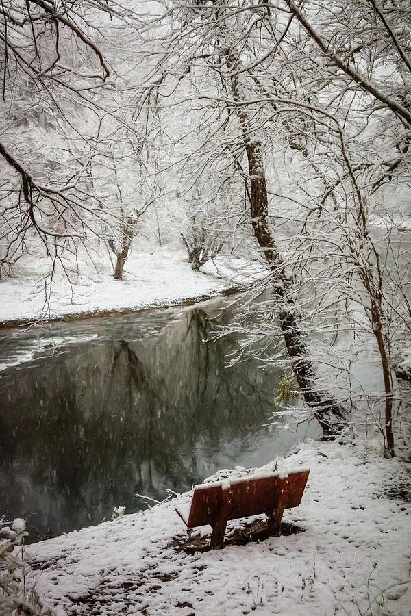 Winter Contemplation Oil Painting Photograph by Debra and Dave Vanderlaan