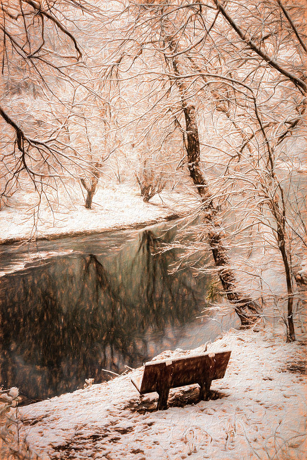 Winter Contemplation Sepia Tones Painting Photograph by Debra and Dave Vanderlaan