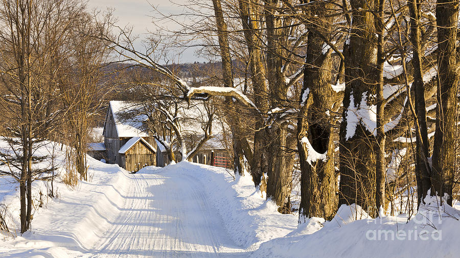 Winter Country Road Photograph