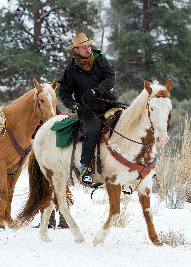 Winter Cowboy Photograph by Michael Dawson