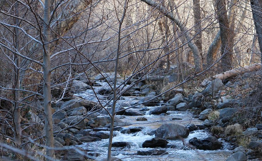 Winter Creek - 2 Photograph by Christy Pooschke