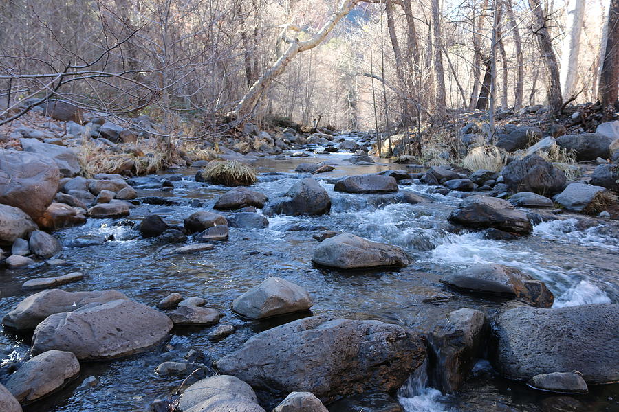 Winter Creek - 3 Photograph by Christy Pooschke