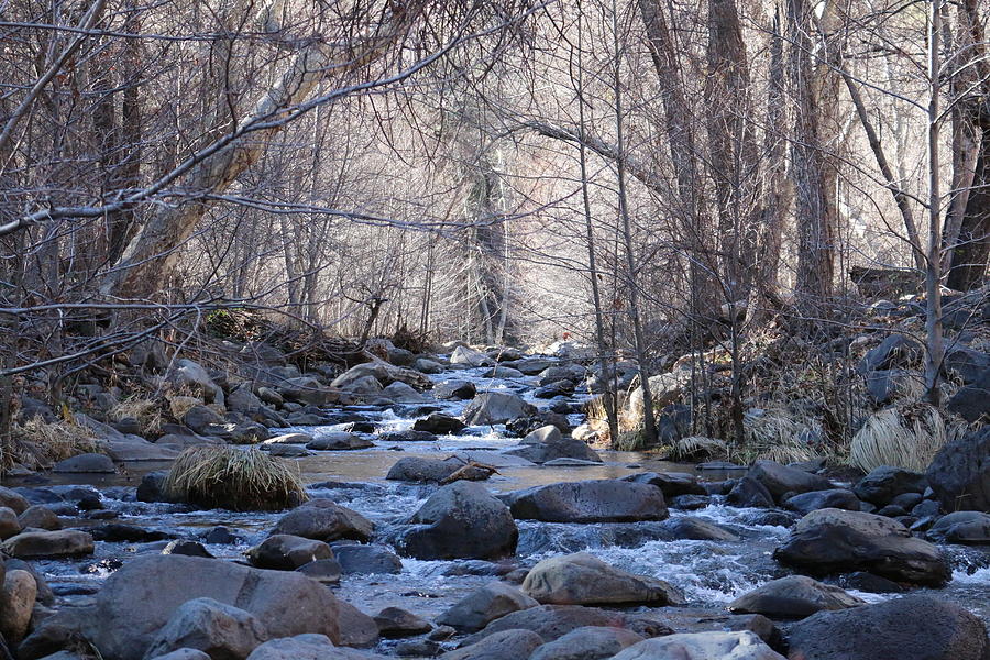 Winter Creek - 4 Photograph by Christy Pooschke
