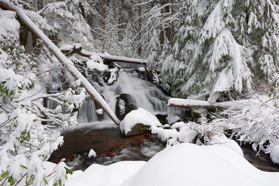 Winter Creek Photograph by Andrew Kumler