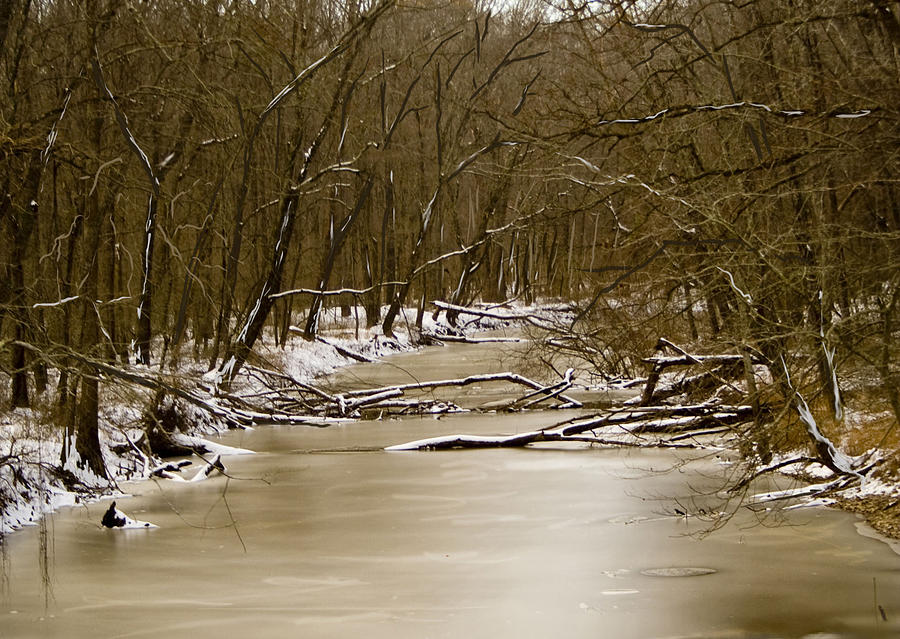 Winter Creek Photograph by Bonnie Willis