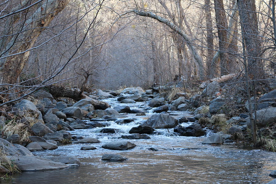 Winter Creek  Photograph by Christy Pooschke
