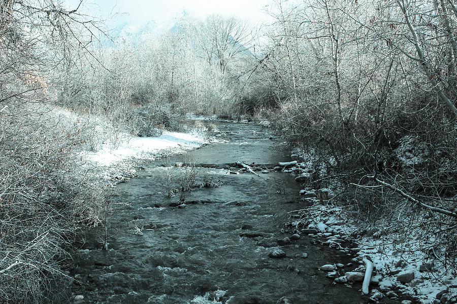 Winter Creek Photograph by K Bradley Washburn