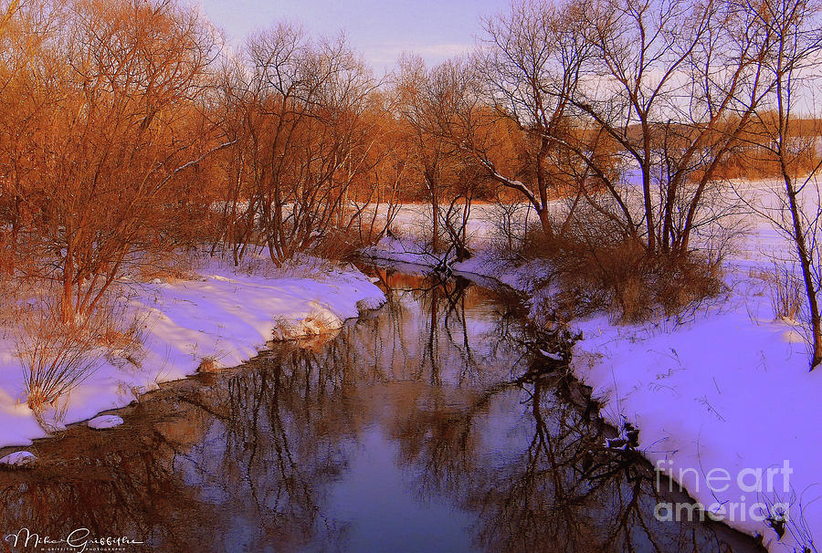 Creek Photograph - Winter Creek by Michael Griffiths
