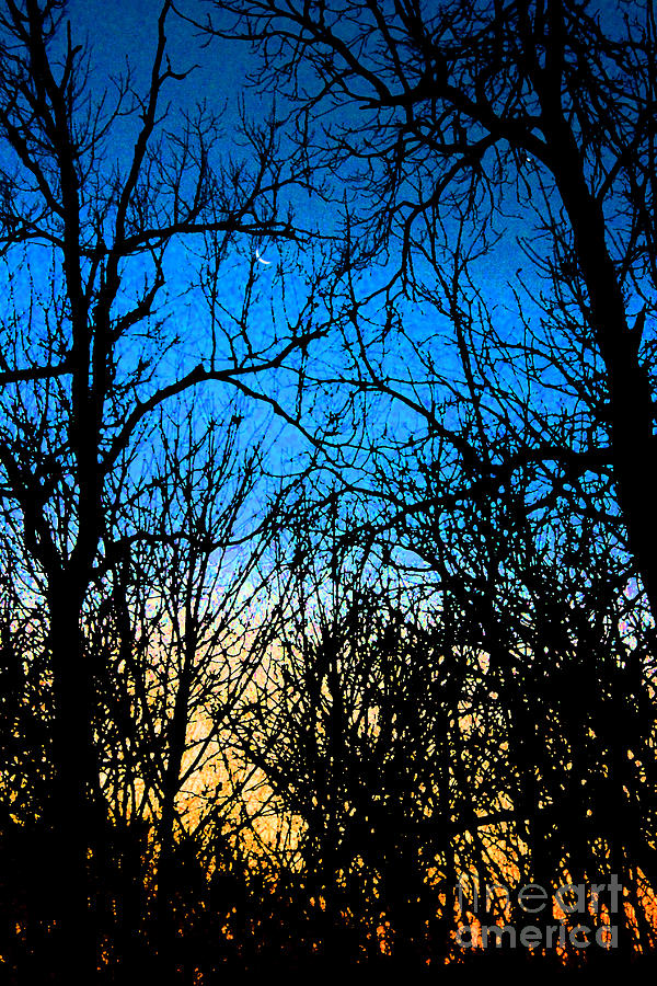 Winter Crescent Moon Painted Photograph