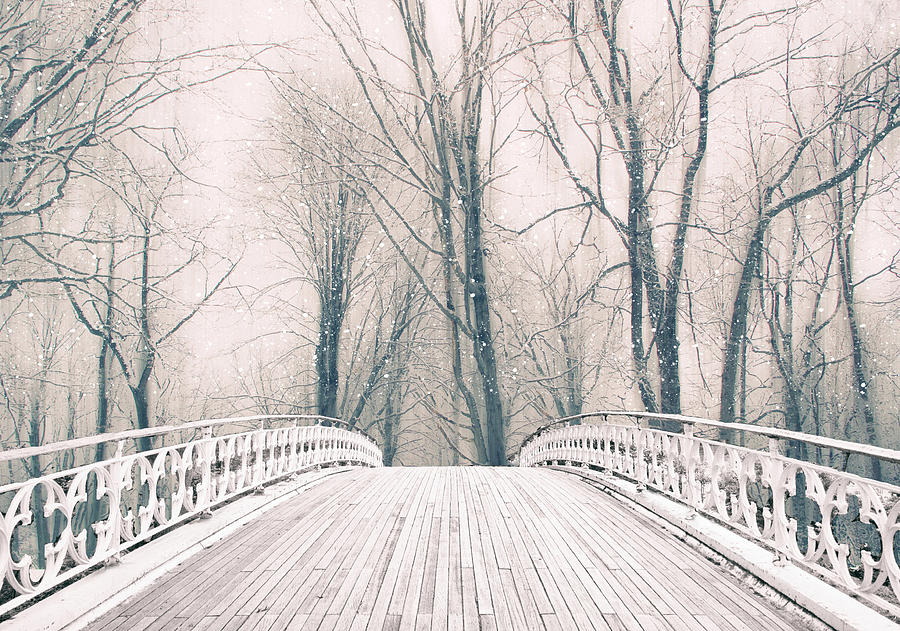 Winter Crossing Photograph by Jessica Jenney