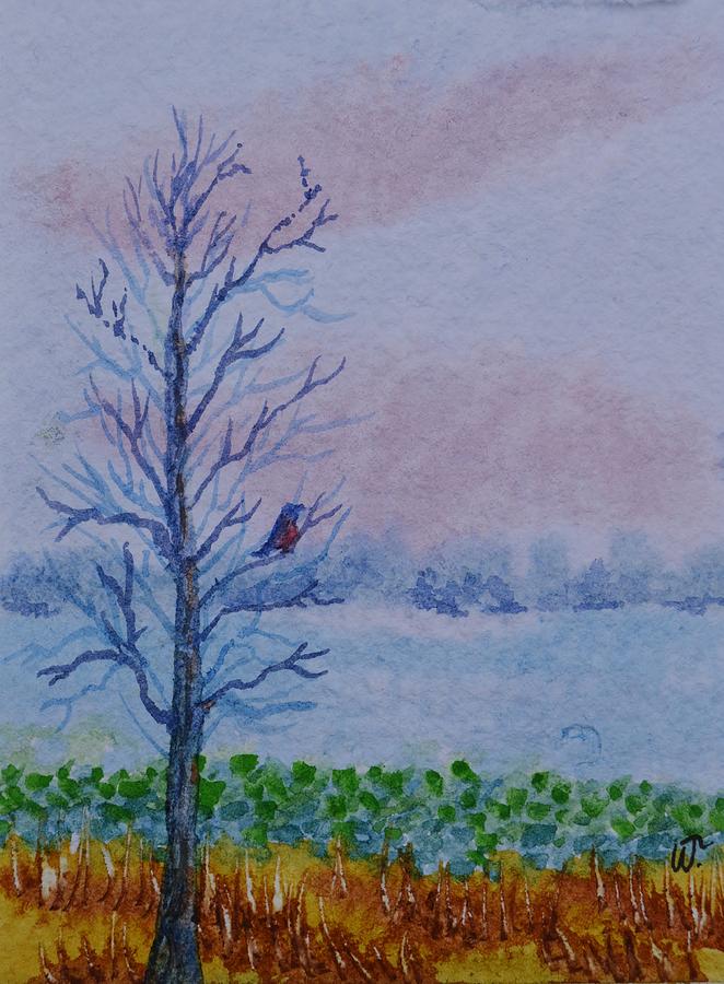 Winter Cypress and Robin Painting by Warren Thompson