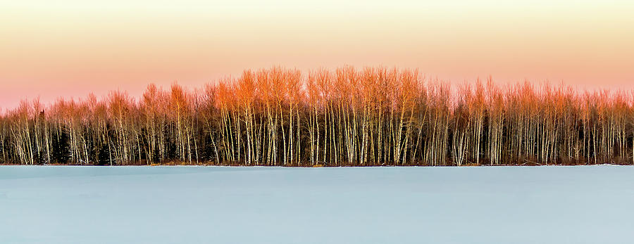 Winter by David Wynia Winter by David Wynia