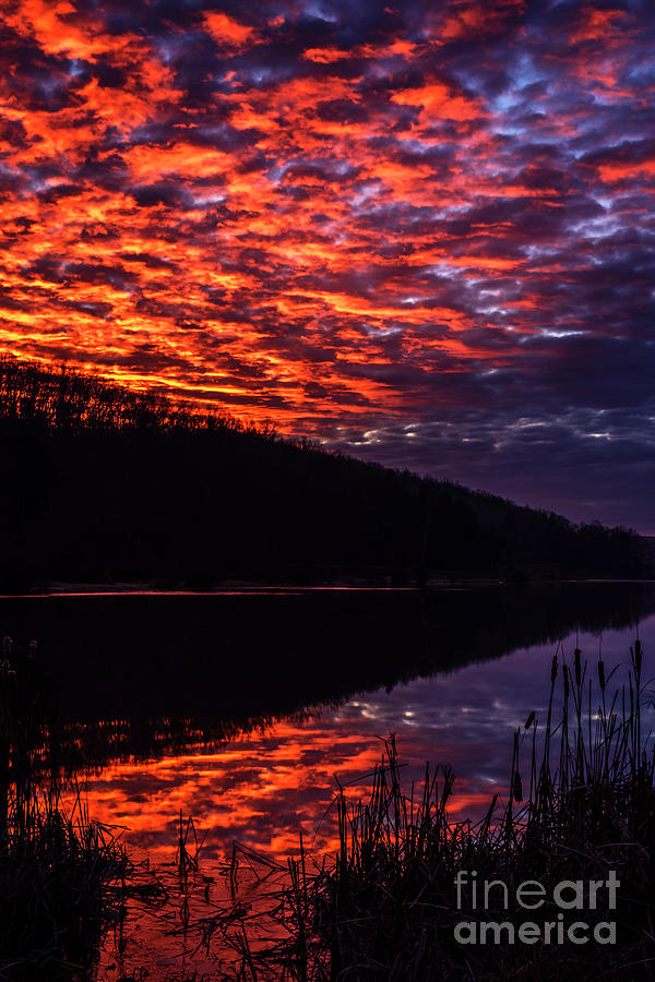 Winter Dawn at the Lake Photograph by Thomas R Fletcher