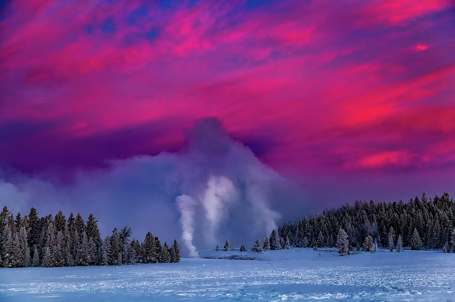 Winter Dawn in Yellowstone Photograph by Mountain Dreams