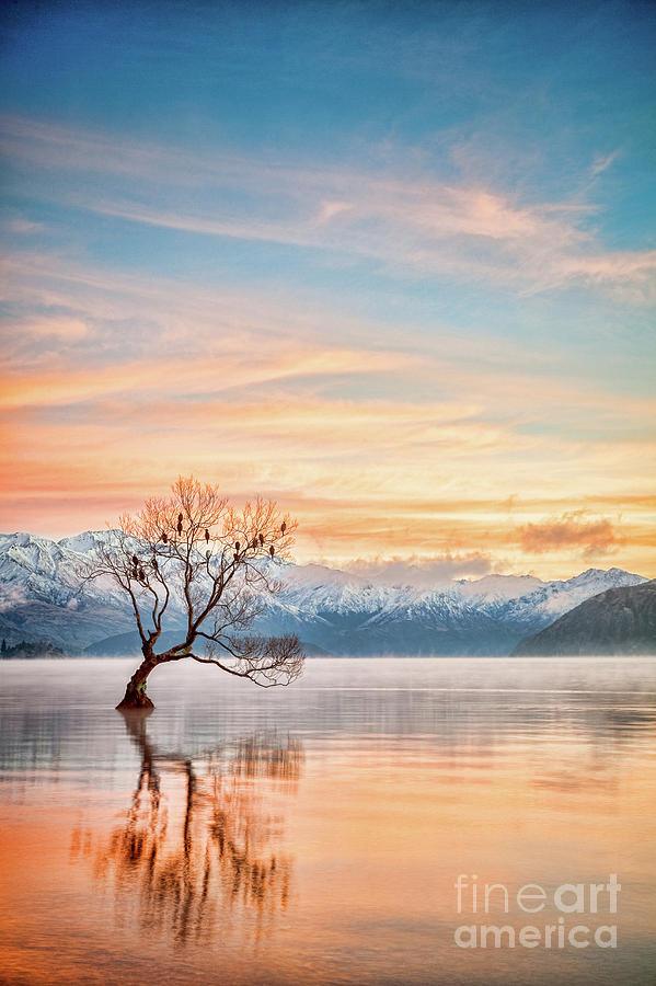 Winter Dawn, Lake Wanaka NZ Photograph by Colin and Linda McKie