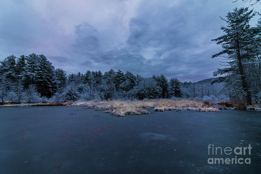 Winter Dawn Photograph by Mim White