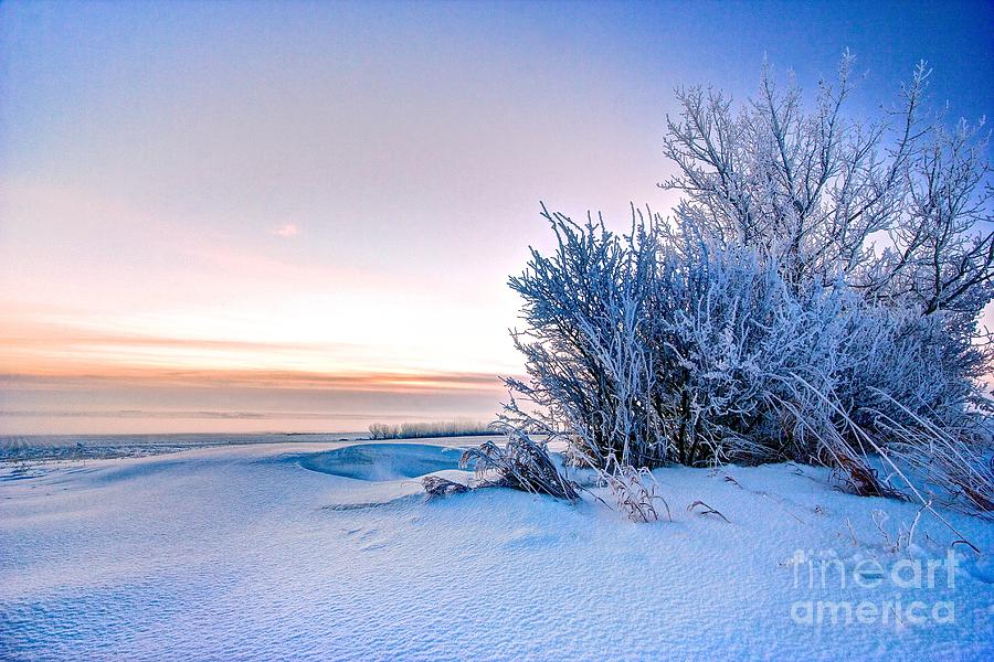 Winter Photograph - Dawn on a Prairie Winter by DJ MacIsaac