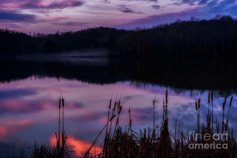 Winter Dawn Reflection with Cattails Photograph by Thomas R Fletcher