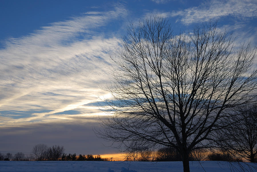 Winter Dawn Photograph by Steven Richman