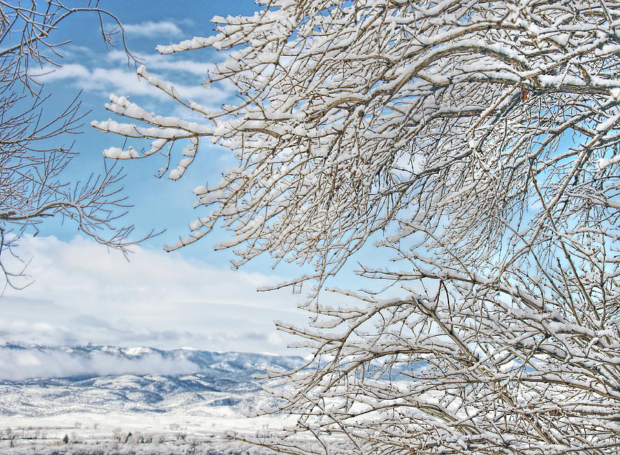 Winter Day Montana Photograph by Jennie Marie Schell