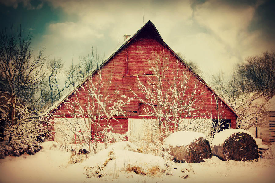 Winter day on the farm Photograph by Julie Hamilton