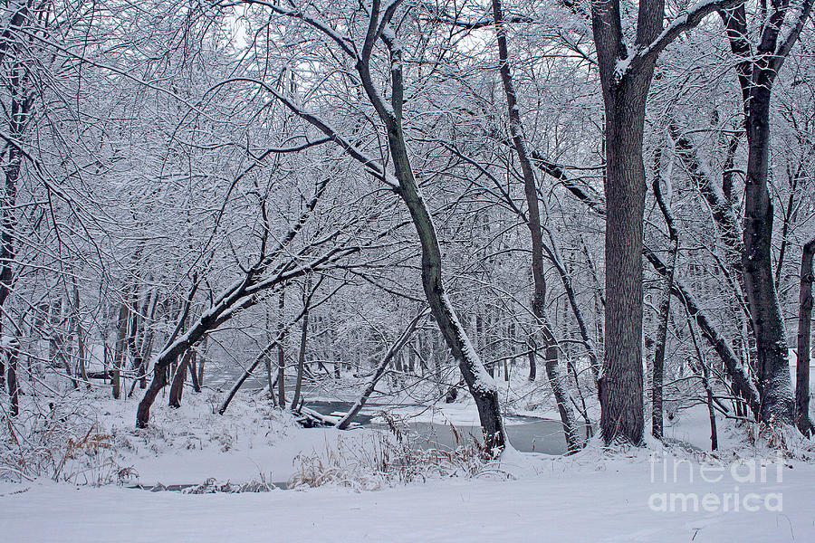 Winter Days Along The Creek Photograph by Kay Novy