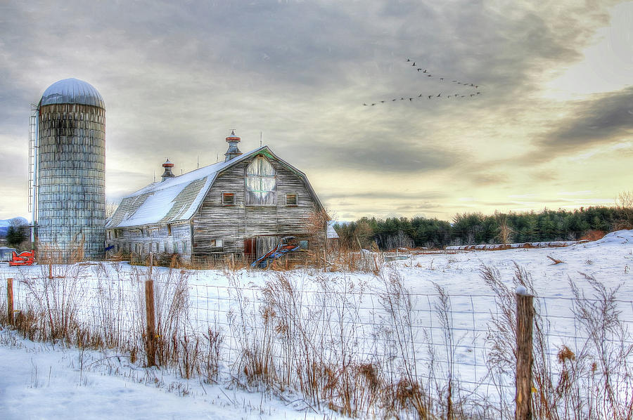 Winter Days in Vermont Digital Art by Sharon Batdorf