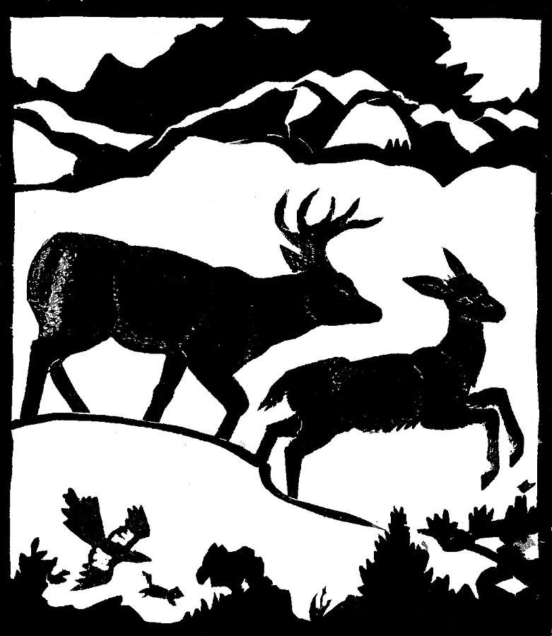 Wildlife Linoleum Block Prints - Portraits of Animals