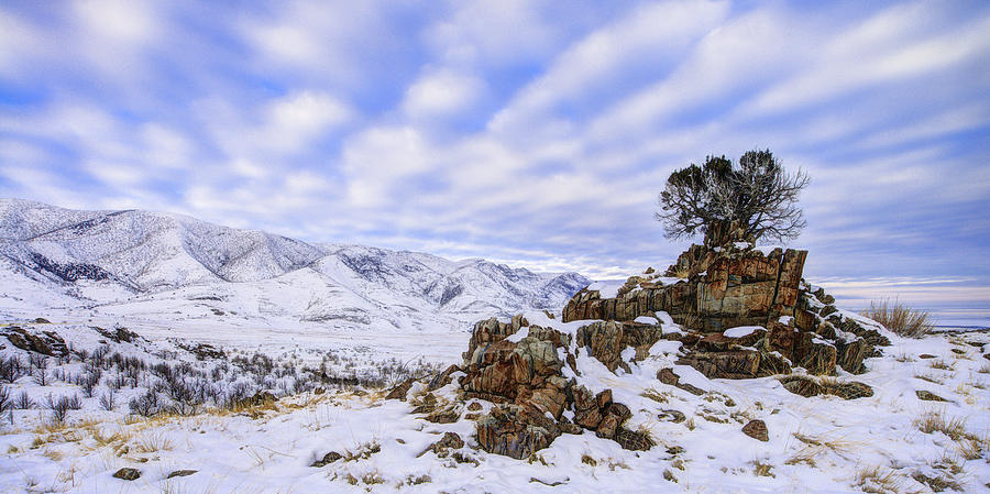 Nature Photograph - Winter Desert by Chad Dutson