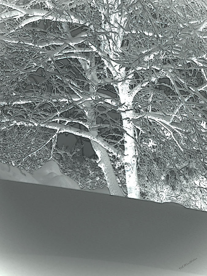 Winter by Donna Lee Winter by Donna Lee