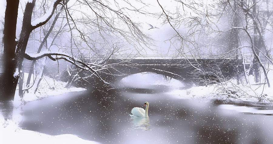 Winter Photograph - Winter Dreaming by Jessica Jenney