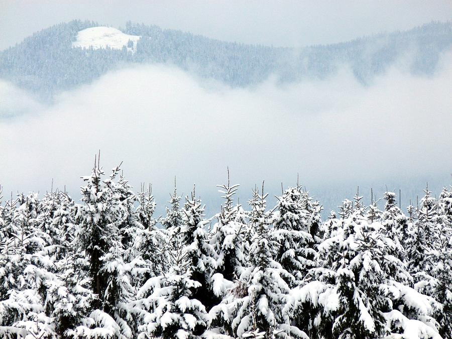 Winter Dreamworld Photograph by Will Borden