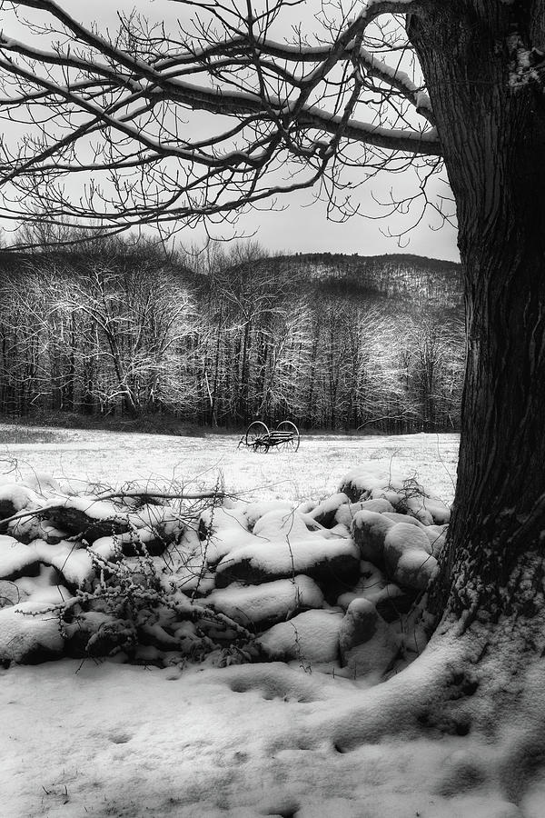 Winter Dreary Photograph by Bill Wakeley