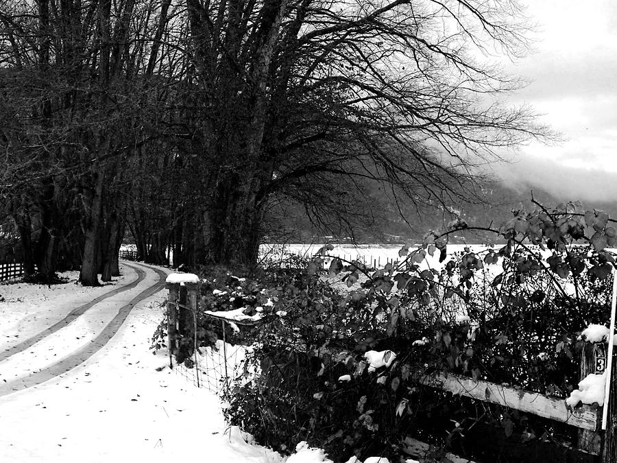 Winter Photograph - Winter Drive by Shannon Ireland