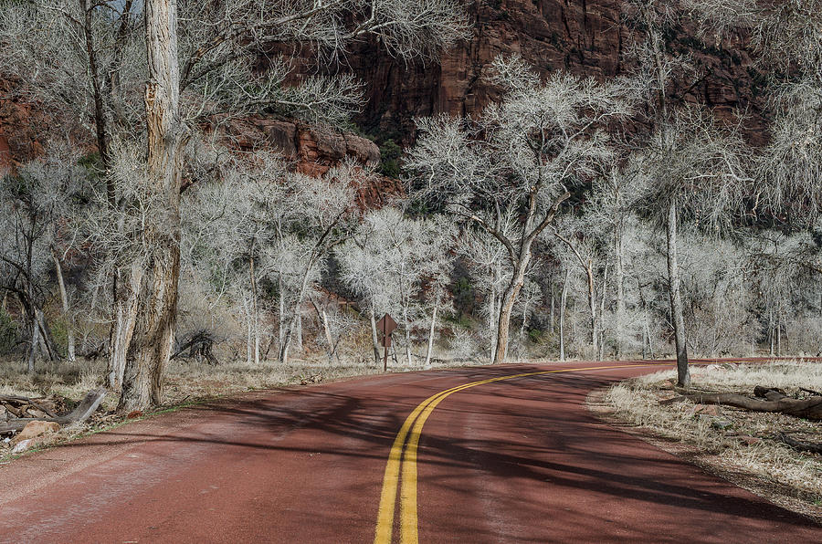 Winter Drive Through Zion Canyon Photograph by Greg Nyquist