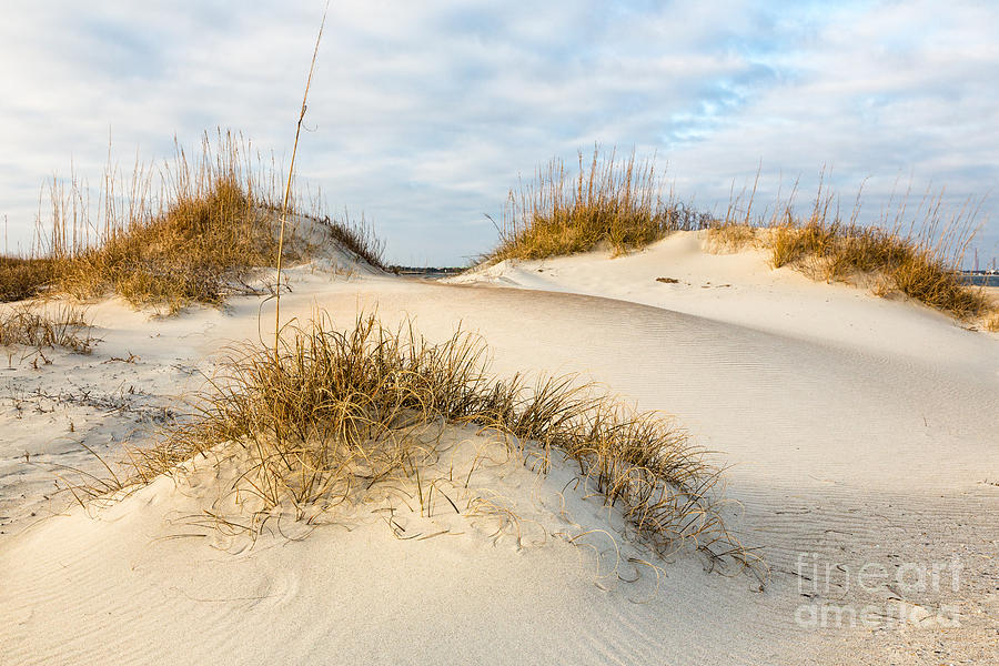 Winter Dunes Photograph by Paul Malcolm