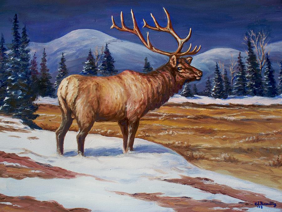 Winter Elk Painting by Ed Breeding