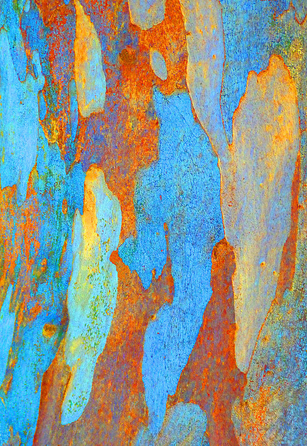 Winter Eucalypt Abstract 2 Photograph by Margaret Saheed