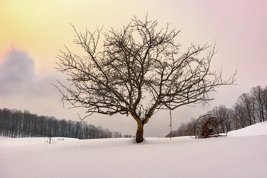 Winter Photograph - Winter Evening at Cloudland Farm by Rick Berk