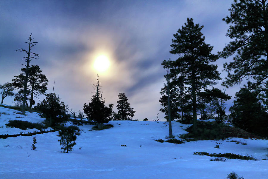 Winter Evening Photograph by Nicholas Blackwell