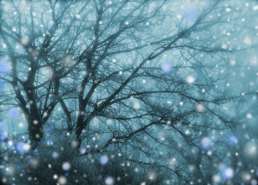 Winter Evening Snowfall Digital Art by Mary Wolf