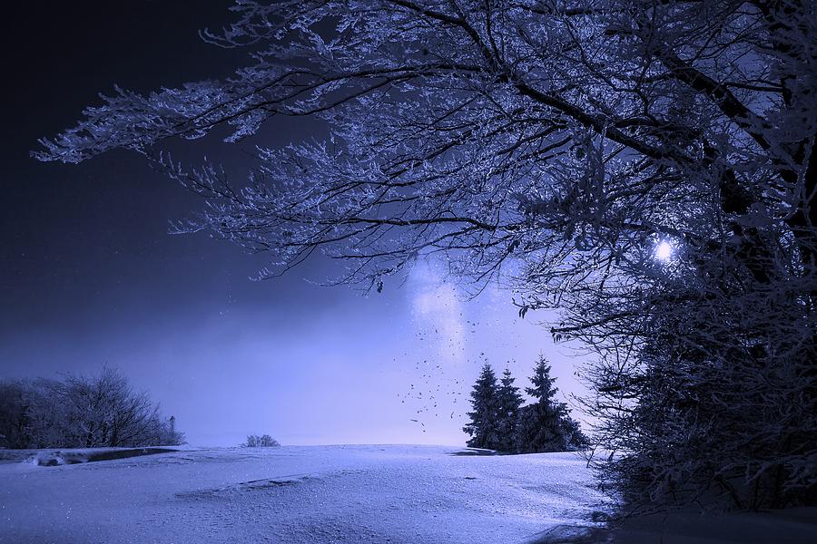 Winter Evening #1 Photograph by Mountain Dreams