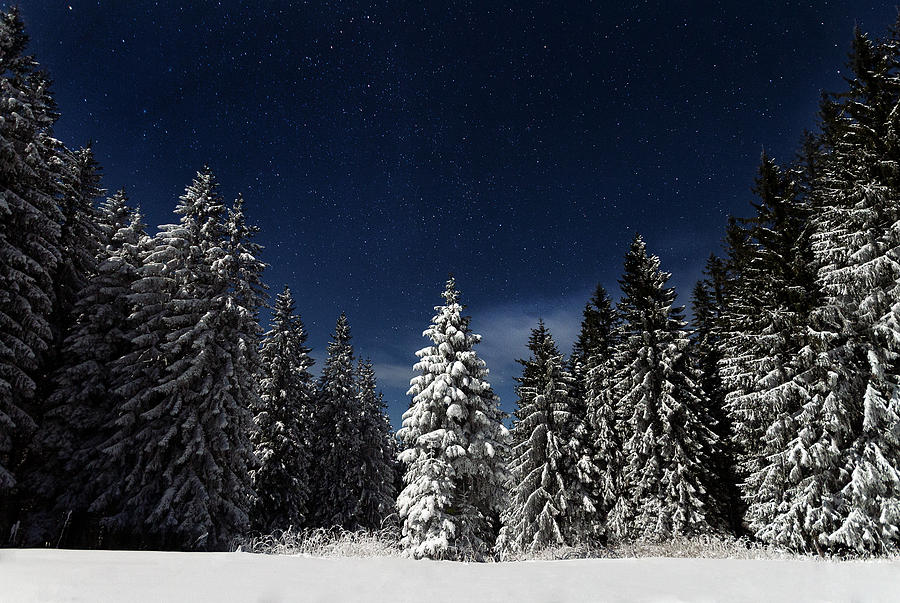 Winter Fairytale Photograph