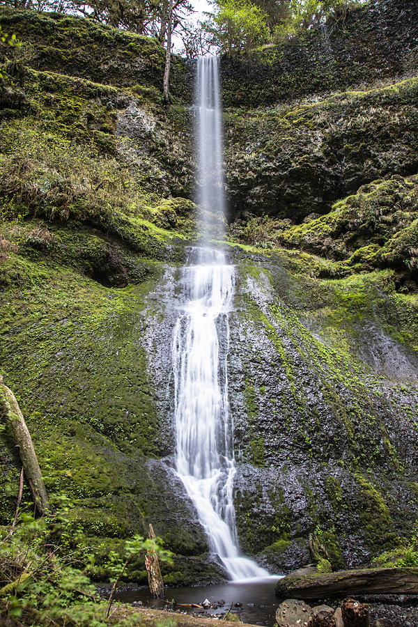 Winter Falls in Silver Falls State Park Photograph by John McGraw