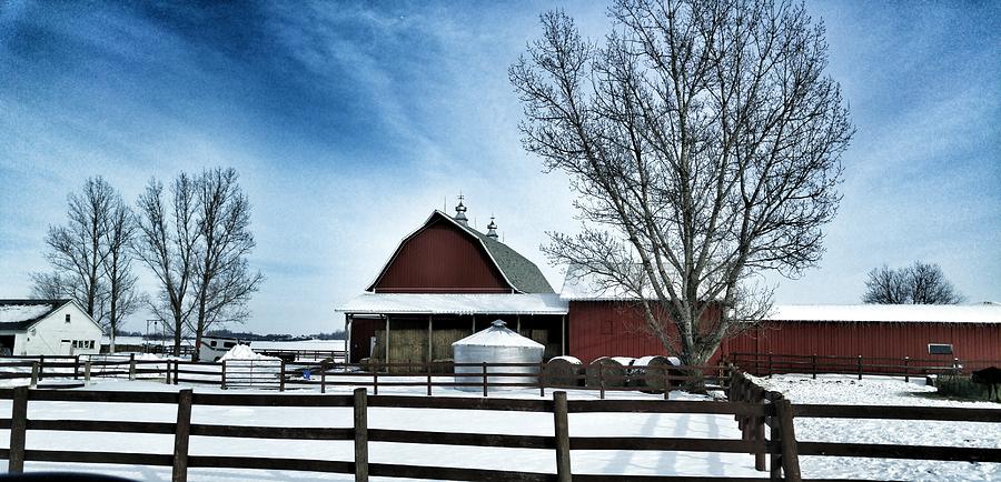 Winter Farm in Madison, Wi. Photograph by Becky Kurth