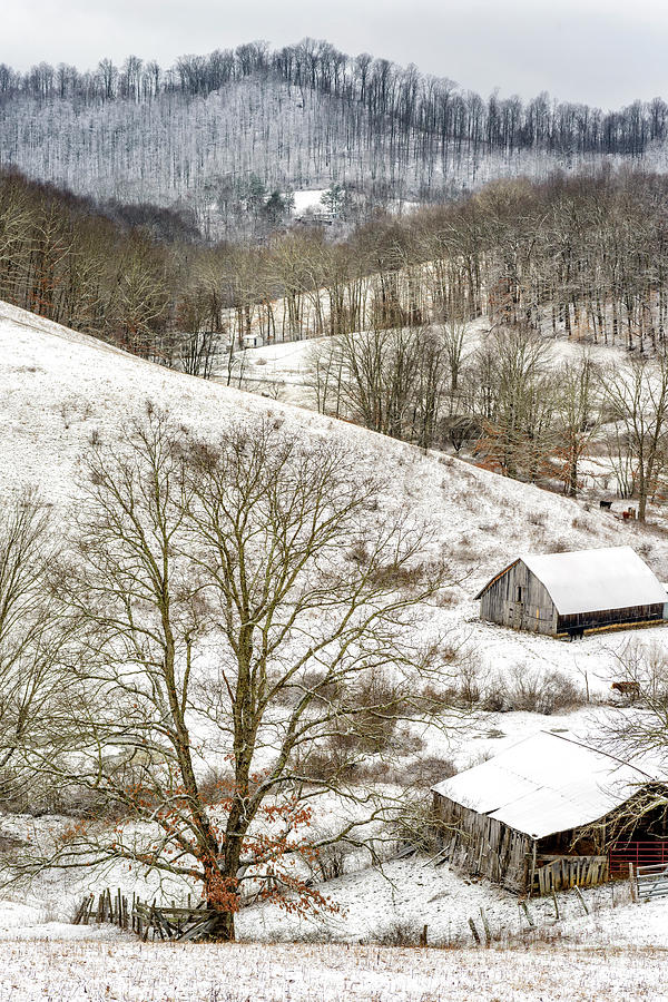 Winter Farm Scene Photograph by Thomas R Fletcher