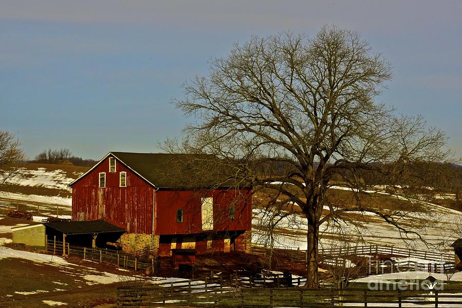 Winter Farm Photograph by Tracy Rice Frame Of Mind